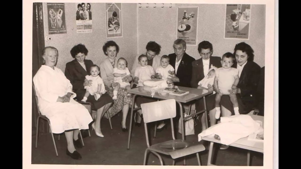 Osschot compilatie 2