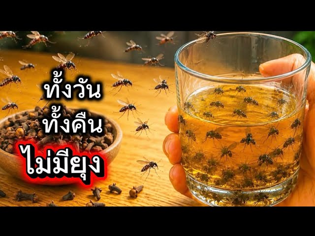 Original Title & Thumbnail
