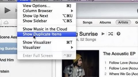 Hiding Duplicates in iTunes : iTunes Basics