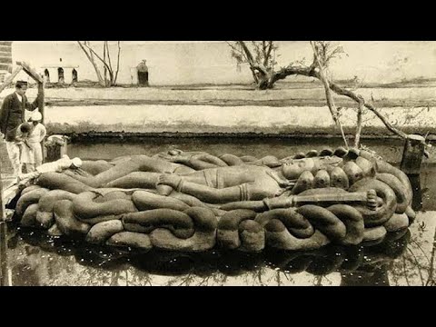 108 Om Namo Narayanaya | SPB | 1 hour Peacefull Meditation Chants