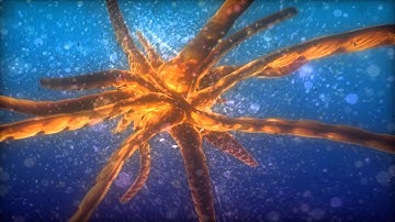 Aesterozoa by Kewlers | 64k (720p HQ HD demoscene demo Assembly 2006)