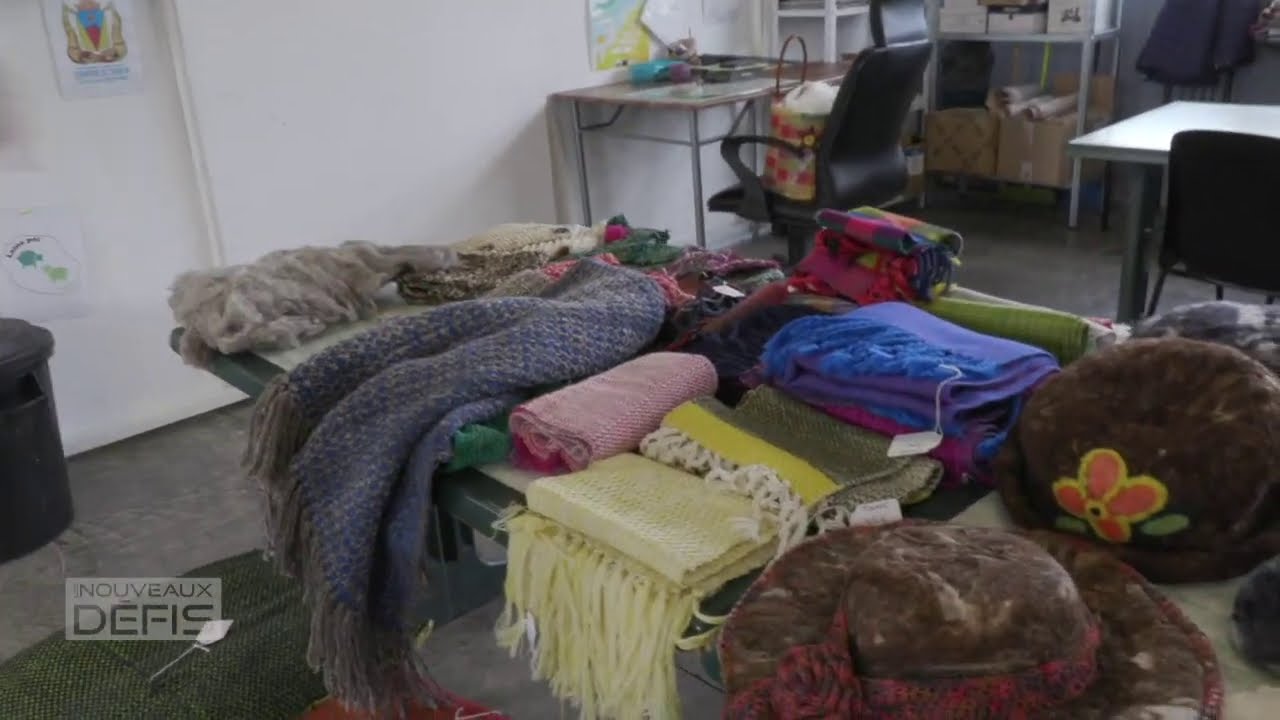 Récupération de la laine à La Réunion (sept. 20)