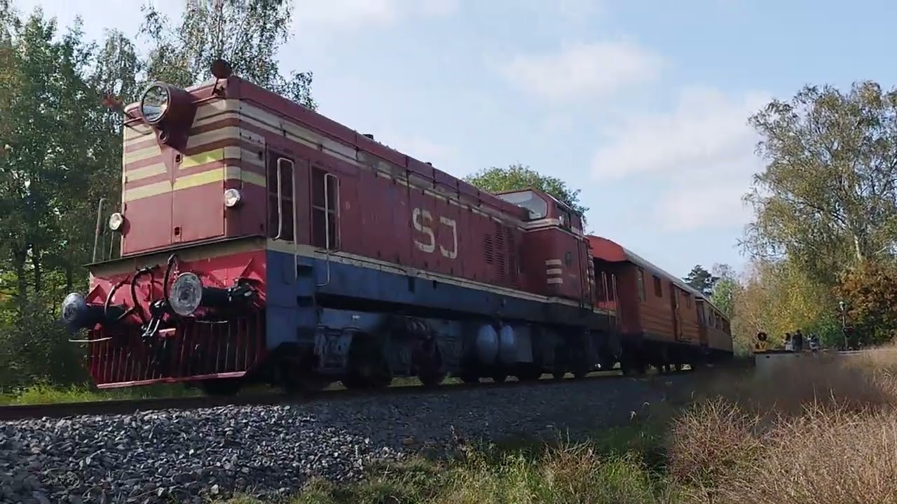 Charter train through Bruzaholm