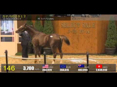 Japanese Select Sale Videos 2012 - YouTube