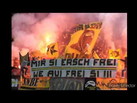 BSC YB Forever💛🖤