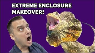 EXTREME ENCLOSURE MAKEOVER! (For a Frilled Dragon)