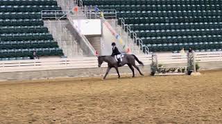 BC Hunter Hack 2’ March 2023