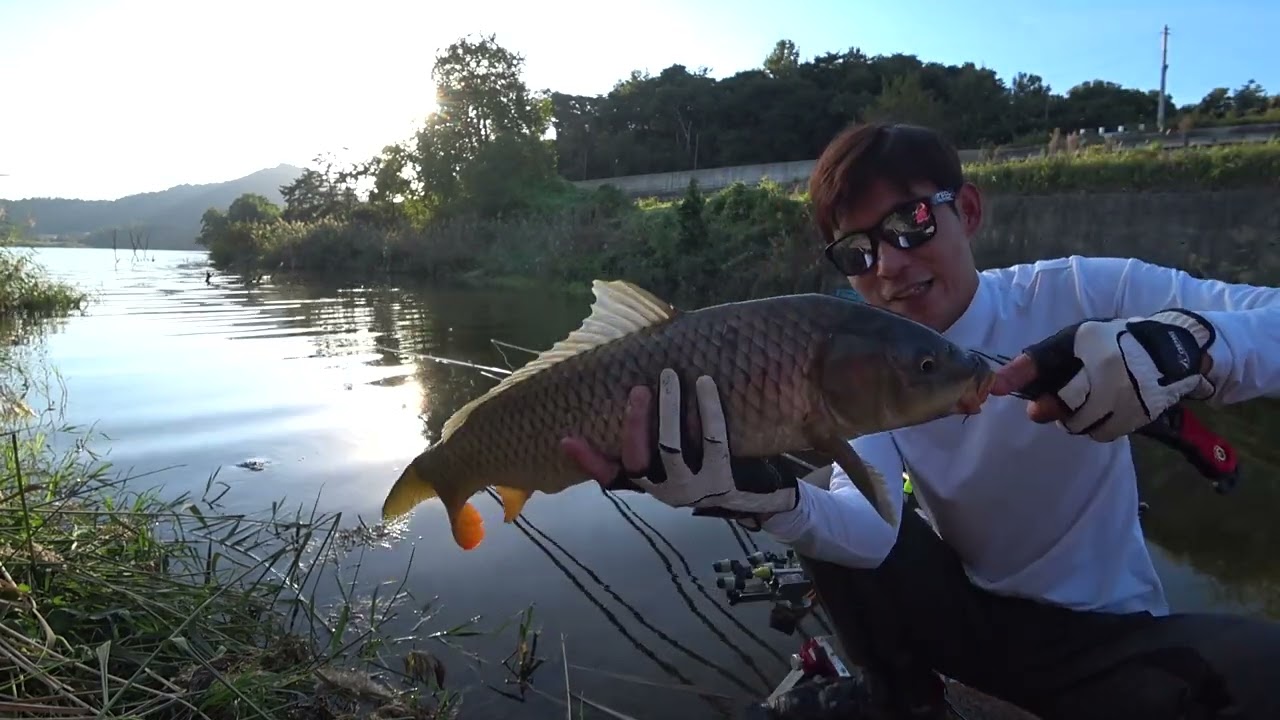 청산어수 낚시는 스포츠다.