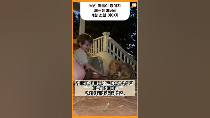 떠돌이 강아지가 낯선 소녀에게 마음을 연 감동적인 이유 #shorts