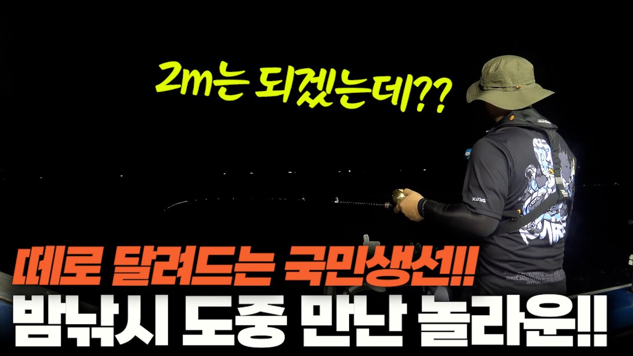 대한민국 1등 생선!! 손맛 좋고 입맛도 살리는 낚시!! (박선비tv / 고등어 조림, 갈치국)