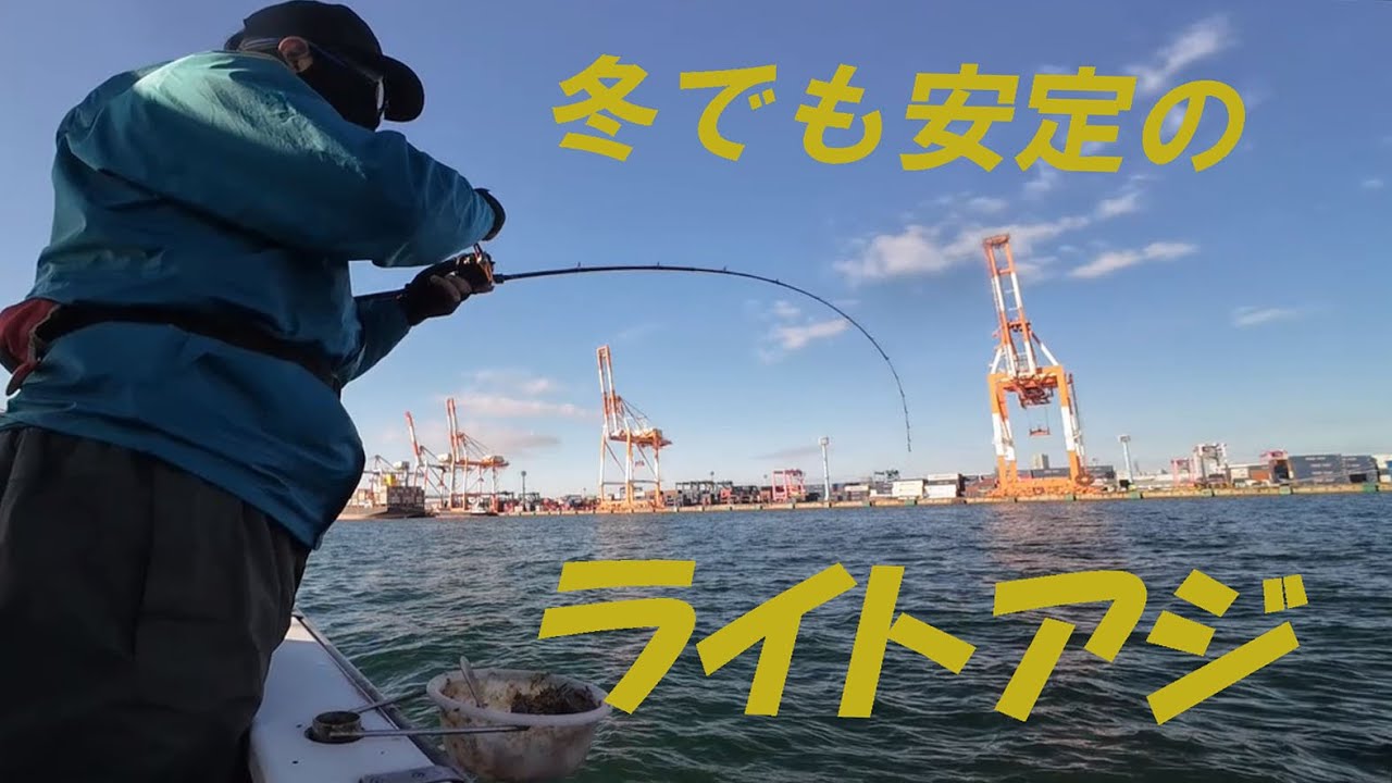 冬でも安定のライトアジ 2025/12/16 横浜・渡辺釣船店午前アジ