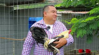 Los Giros del Ingeniero Raúl - Granja El Arroyo