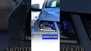 ЗАПОТЕВАНИЕ СТЁКОЛ НА SKODA OCTAVIA #zimwerk #vagcenter #skodaoctavia #skoda #шкодаоктавия #шкода