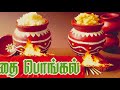 பொங்கல் பண்டிகை | பட்டம் பறக்கும் பட்டம்