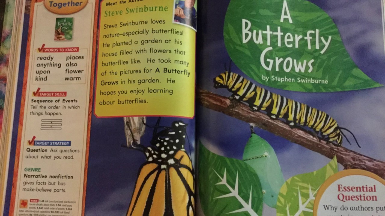 Butterfly Journeys