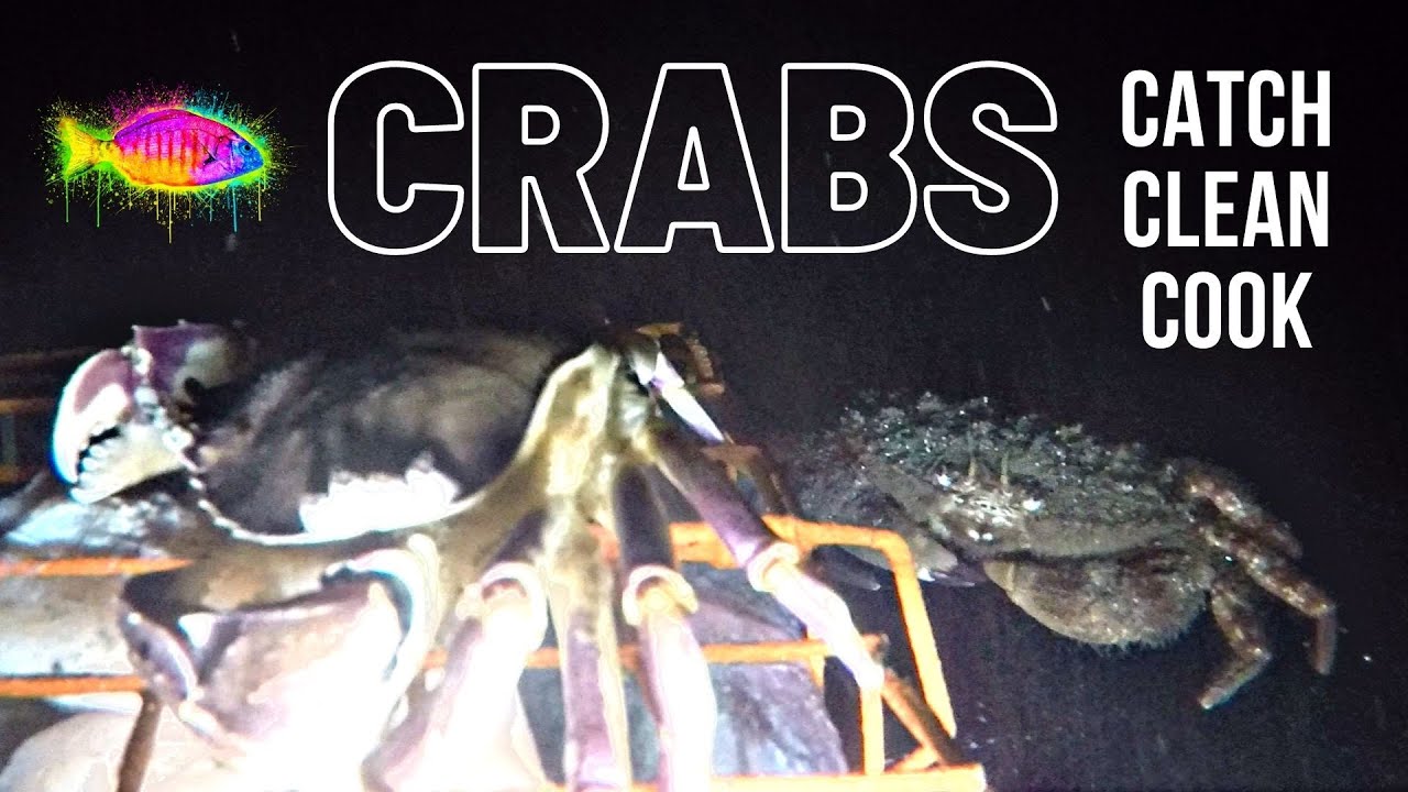 UNDERWATER CRAB NET FOOTAGE (Catch Clean Cook)