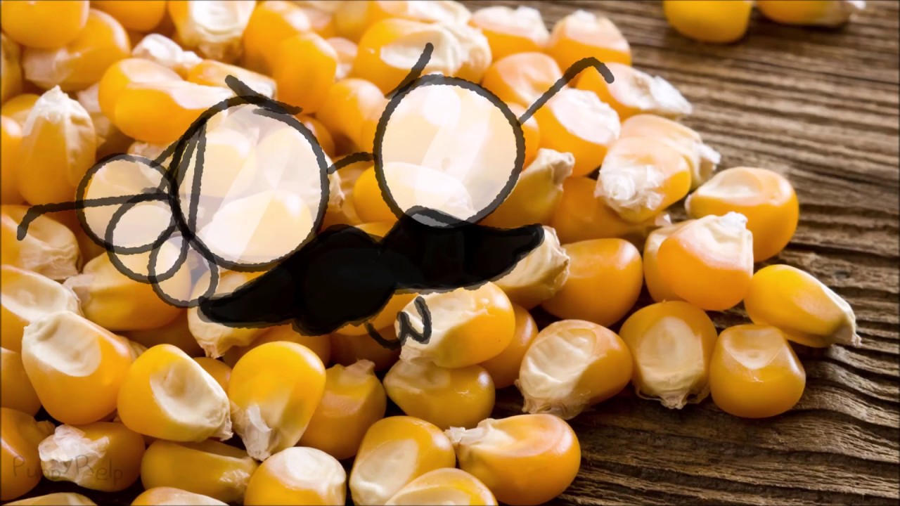 Cuwsed Video OwO || Happy 1 year WKM