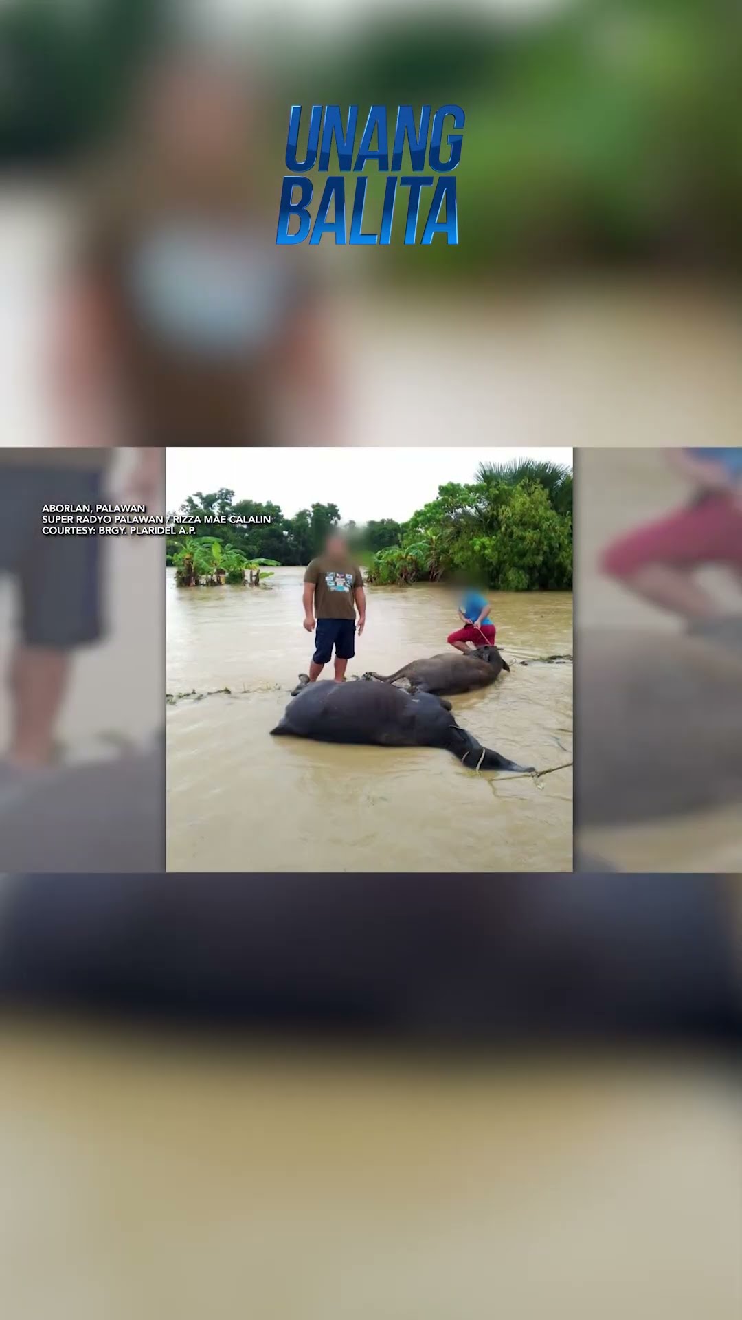 Palawan at Oriental Mindoro, binaha! #shorts | Unang Balita