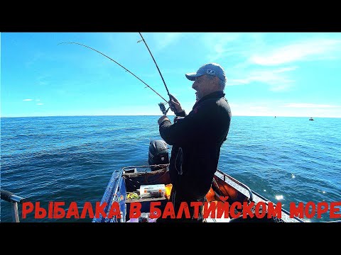 Видео: ТРЕСКОНАВАГА, Чертилы! ЧТО ЗА РЫБА СЕГОДНЯ  Рыбалка в Балтийском море на спиннинг.