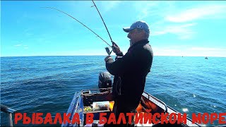 ЧТО ЗА РЫБА СЕГОДНЯ!!  Рыбалка в Балтийском море на спиннинг май 2024