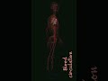 Blood circulation in human body | Human Body | 3d view | @brightsidestudy