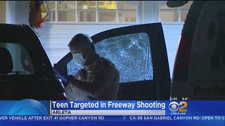 Brother Sister Shot At While Driving On 14 Freeway
