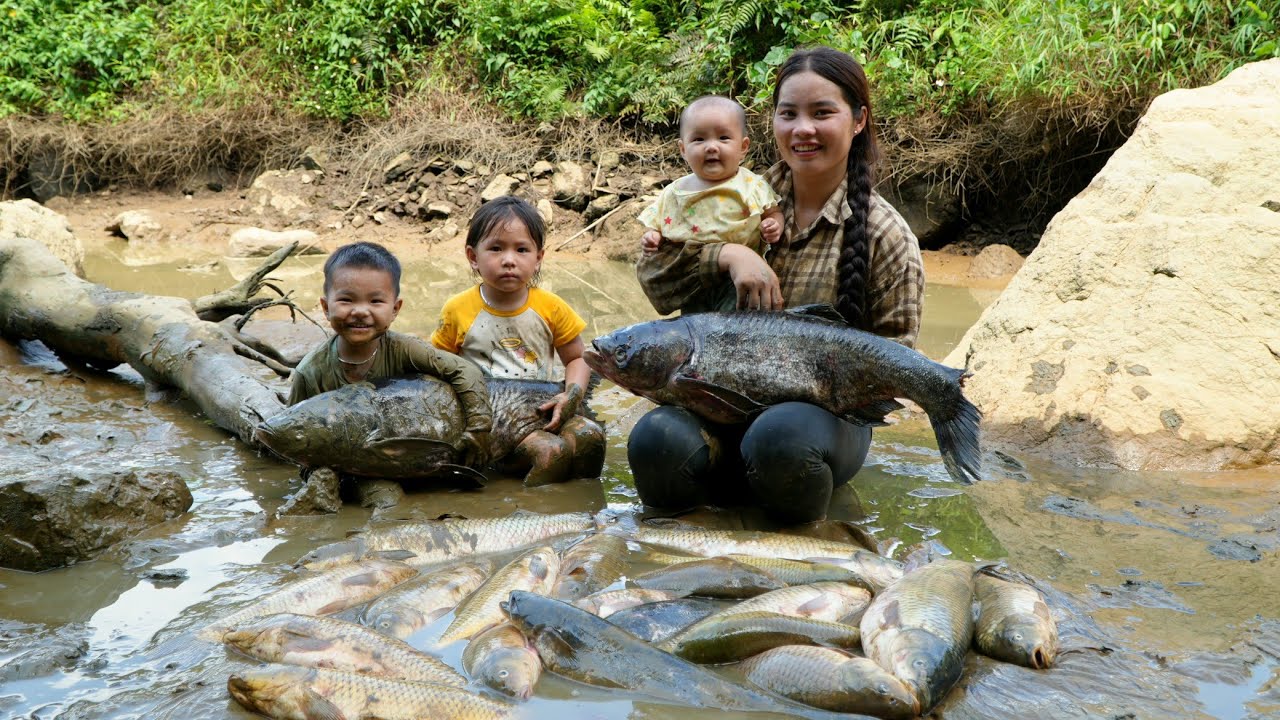 How to drain a muddy pond to catch giant fish to sell at the market ...