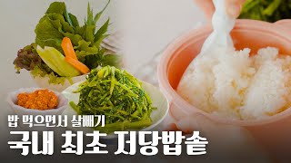 10분만에 완성하는 다이어트 식단 국내 최초 실리콘 저당밥솥 리뷰 전자레인지에 돌리면 되니까 편리해요 #다이어트 #혈당 #식단 #레시피