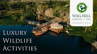 🐾Experience Wag Hill Lodge & Spa!🌅 Embrace Luxury, Wildlife, and Create Memories! Mwanza | Tanzania