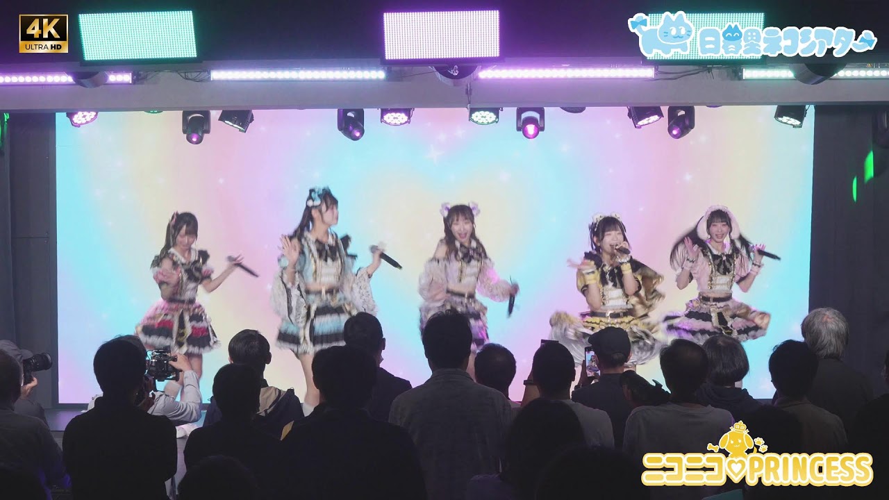 ライブ帝国 エヌアールマジック / IMPACT-SS(ブラック)【Ecoプライスシリーズ