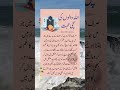 Allah walon ki muhabat  islamic quotes in urdu  motivational islamic urdu quotes shorts allah