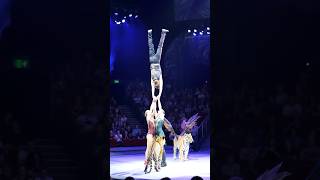 AGT Mesmerizing grils circus stuns judges on #circus #shortsfeed #shorts #shorts