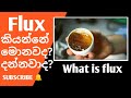 What is flux Sinhala | electronic repairing