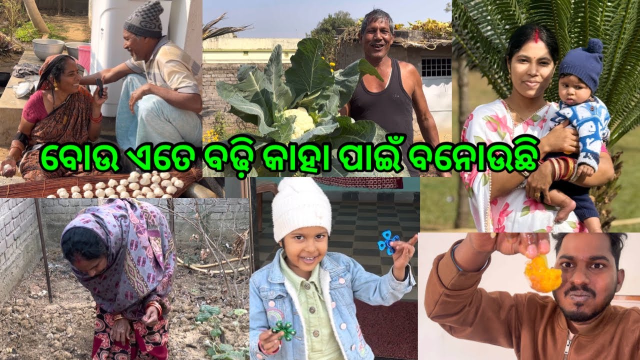 ସମସ୍ତେ ପଳେଇଲେ ପୁରୀ ଘର ପୁରା ଖାଲି @lifeofsridhar9099 