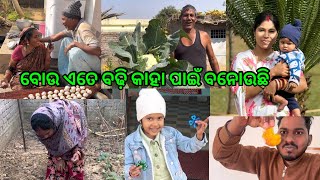 Download Lagu ସମସ୍ତେ ପଳେଇଲେ ପୁରୀ ଘର ପୁରା ଖାଲି @lifeofsridhar9099  MP3