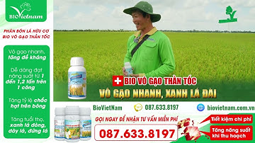🌾 BIO Vô Gạo Thần Tốc – Bí Quyết Bội Thu Cho Vụ Mùa Thắng Lớn! 🌾