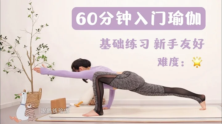 入门瑜伽跟练：回归基础 全身综合练习 体态调整｜Yoga For Beginner: Full Body Practice - 天天要闻