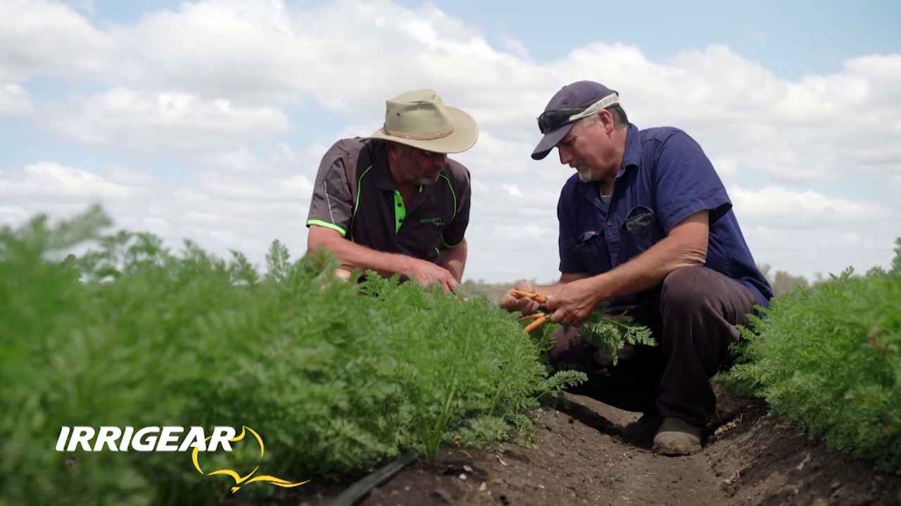 Irrigear® – The Water System Experts