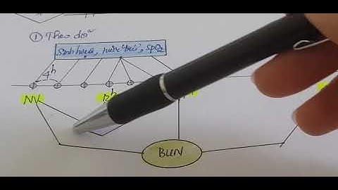 Tiêu hoá | Viêm tụy cấp 2