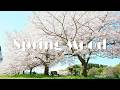 【Playlist】🌸心が軽くなって気分も明るくなる春のチルポップ洋楽MIX / 作業用BGM / 勉強や仕事 / 1時間 / Chill Pop MIX