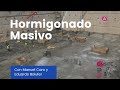 #68 | Hormigonado masivo de losa de cimentación, con Manuel Caro