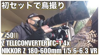 野鳥撮影】テレコン付きの初セットで久々のオオタカ！- Z50Ⅱ