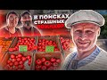 В поисках СТРАШНЫХ ПОМИДОР!!! Одесса рынок как Привоз. обзор