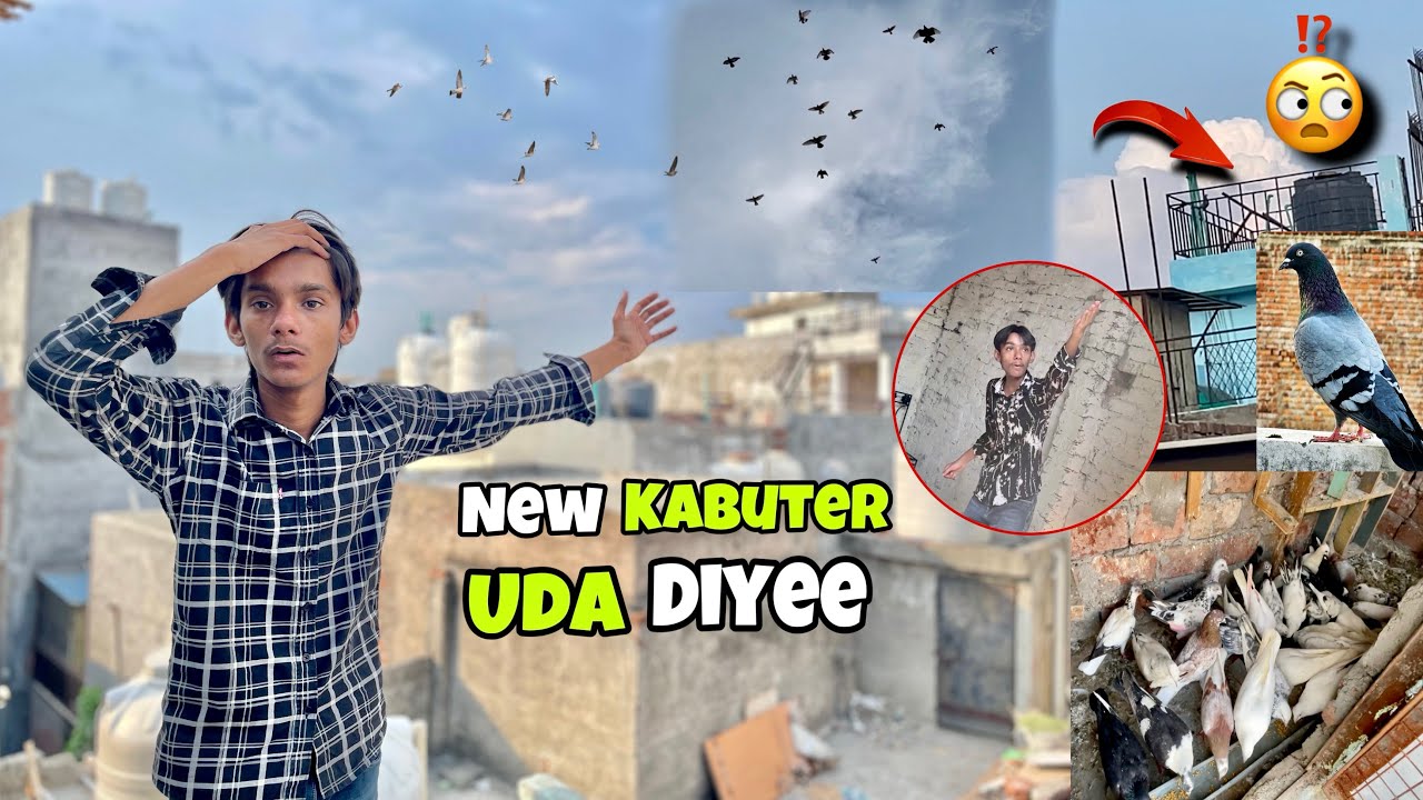 Bhr Ka New Kabuter 🪽Akar Betha 😱💗 Sab Naye Kabuter 🕊️ Uda diye hamne