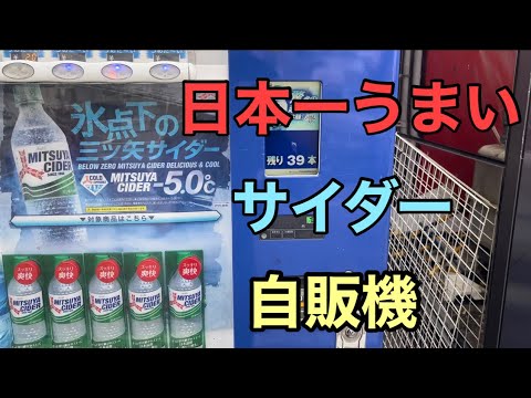 氷点下の三ツ矢サイダーがうますぎる！