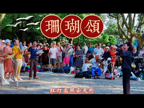 中国歌曲 经典红歌《珊瑚颂》珊瑚树红春常在 风波浪里把路开 #中国歌曲 #珊瑚颂 #中国文化