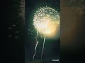 2024 新潟・片貝まつりの奉納花火。泣いた。正四尺玉