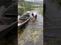 Village boys sad small fishing video