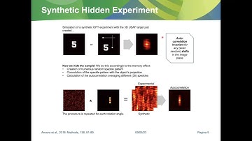 Daniele Ancora: "Autocorrelation for image fusion of multiply aberrated detections"