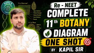 🌿 Re-NEET 2026 Complete Class 11th Botany Diagram One Shot by Kapil Sir 🌿